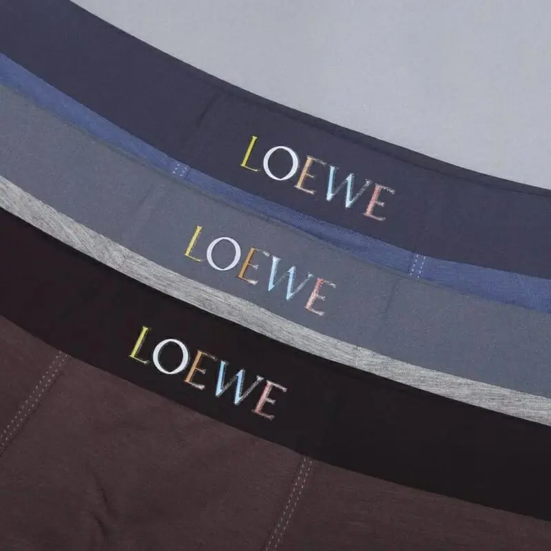 loewe sous vetementss pour homme s_11663704